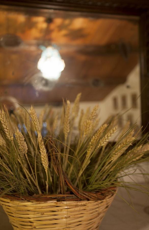Bed and Breakfast Relais Mastro Cinghiale Paciano Екстер'єр фото