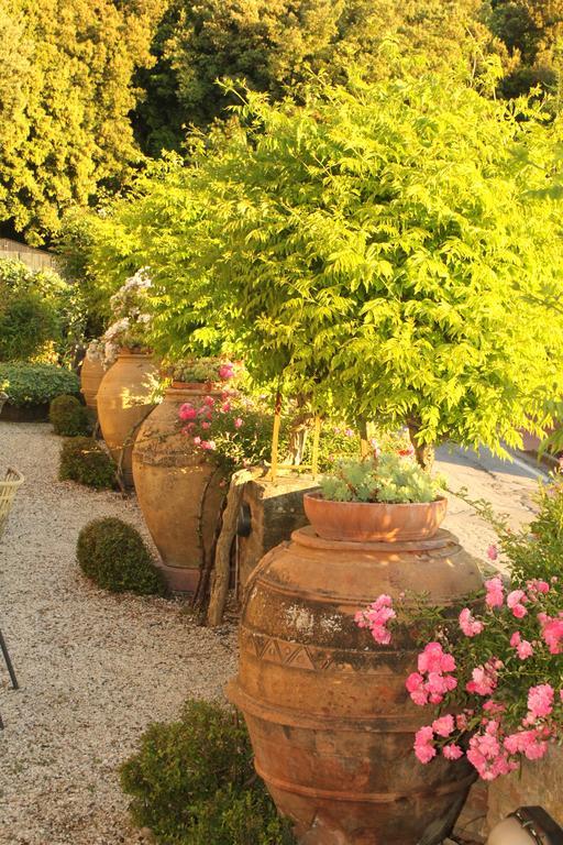 Bed and Breakfast Relais Mastro Cinghiale Paciano Екстер'єр фото